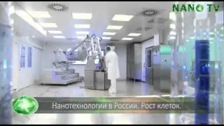 Нанотехнологии в России  Рост клеток