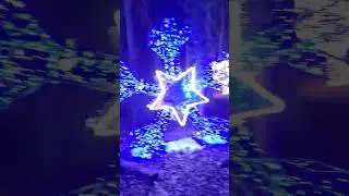 #winterlights #shorts