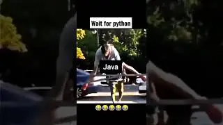 How all programing language are work each other difference like html, Java, C Language and Python