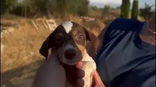 Tulula