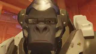 winston
