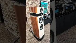 FOCAL SPEAKERS MOST BEAUTIFUL LOOKING. 