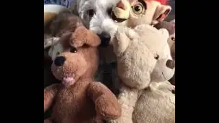 Wait for it... Surprise!