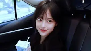 솔직히 개이쁨