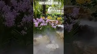 Happy New Year 2024. Новых впечатлений. Сад орхидей. 