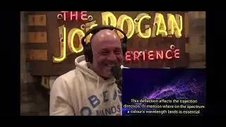 Joe Rogan reveals his favourite Youtuber