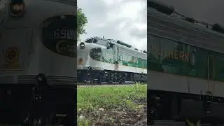Stainless Steel Southern Streamliner #railfanning #diesellocomotive #train