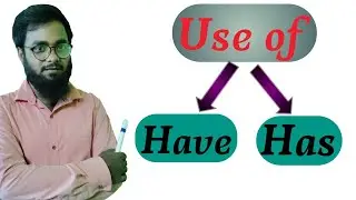 Use of Have & Has