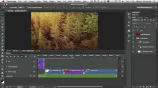 Comprehensive Guide to Working With Video in Photoshop - The Timeline Panel