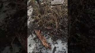 Установка газового баллона из салона под авто Запчасти для газового оборудования