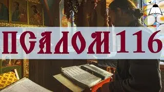 Псалом 116 - Слушать Давидовы псалмы