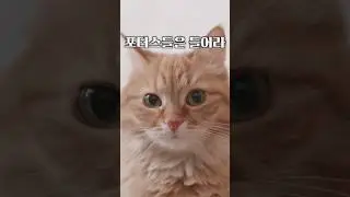 포터스 캠프 ‘𝑹𝑬-𝑪𝑹𝑬𝑨𝑻𝑰𝑶𝑵’ : 포터스들은 들어라-! #포터스캠프 #예수전도단