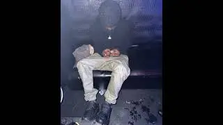 RajahWild - Too Fast (Unreleased)
