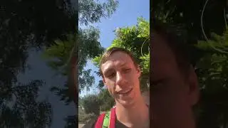 Что же я несу?