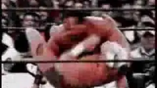 APA 3rd Titantron