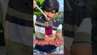 রঙের বাহার | সাইন্স এক্সপেরিমেন্ট | science experiment | #experiment #science #scienceexperiment