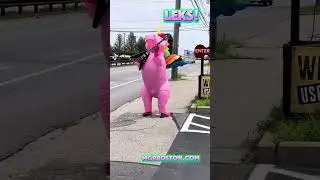 Leks the Dancin' Discount Unicorn gets all the cars honkin' Music Go Round Boston