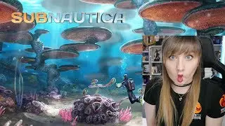 Subnautica (PC) GAMEPLAY