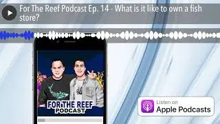 For The Reef Podcast Ep. 14 - What is it like to own a fish store?