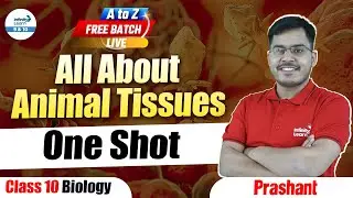 All About Animal Tissues One Shot | Biology | Class 9 Preparation | LIVE | @InfinityLearn_910