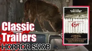 Top 5 Classic Horror Flicks for your Fur Babies