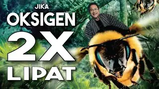 Ini yang akan terjadi, jika oksigen di bumi menjadi 2x lipat !
