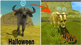 New animals in Halloween