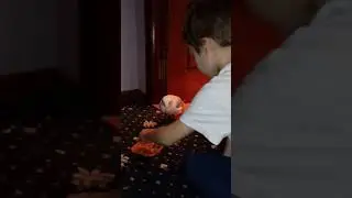 Чайка дома)