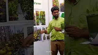 Garden Festival 2023 #hydroponics #hyderabad #garden #gardening #hydroponics #farming #urbanfarming