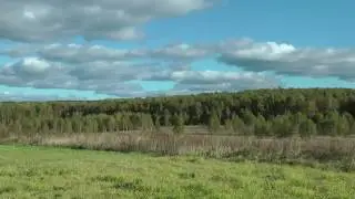 Продаётся земельный участок в д. Власьево.