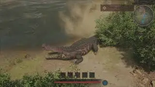 [Nat Hist] Sea and Sky compilation 3