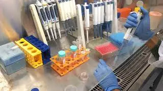 Cell Culturing Work Principle