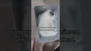 Мама в декрете | юмор #материнство #вдекрете #лайфхак #прикол #юмор #мама #мамавдекрете #дети #брак