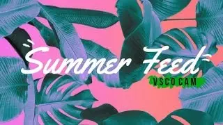 Summer Feed | VSCO CAM