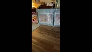 Ruby stands up