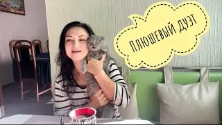 Осень пришла🌧️ пеку пирожки// Поём для Вас   