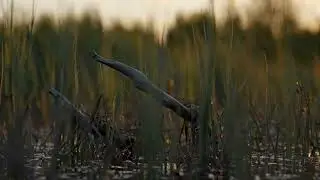 Верхнетуломское