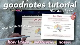 Goodnotes tutorial 🎀 How I take aesthetic notes! | basics, study notes & tips