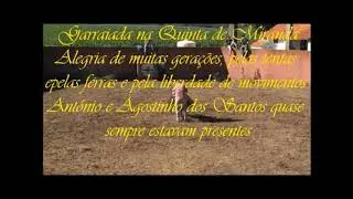 vlc record 2021 01 04 13h29m08s dvd