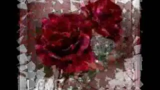 Película.wmv