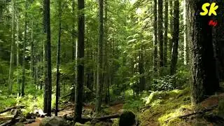 nutere video and Beautiful place and Beautiful song