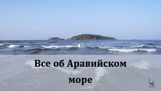 Все об Аравийском Море | Science by Zeba Academy