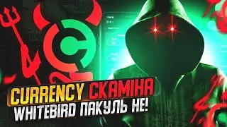 How to legalize crypto in Belarus. My experience.