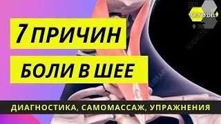Болит шея? Самая главная мышца. Почему не работает. Упражнения