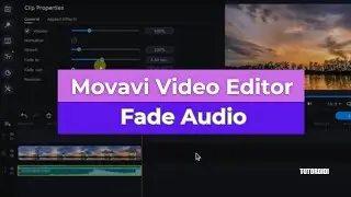 How To Fade In  Audio In Movavi  - Movavi Video Editor Plus 2020  #13