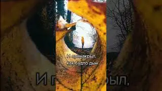 Не жди меня, я не приду...