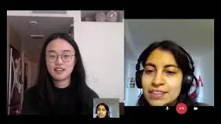 comedy dissection Episode 16 - Stephanie Nam on Sheng Wang