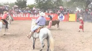 JARIPEO EN LA LABORCILLA 31 AGOSTO 2016 pte 4