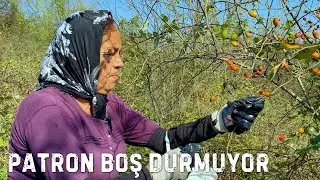 PATRON PARANIN KOKUSUNU ALDI KUŞBURNU PEŞİNDE