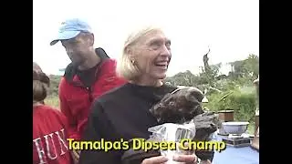 2003 Tamalpa Runners - Year end video - finale